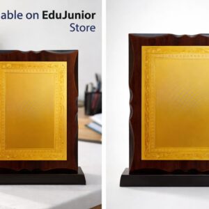 EduJunior Winner Trophy