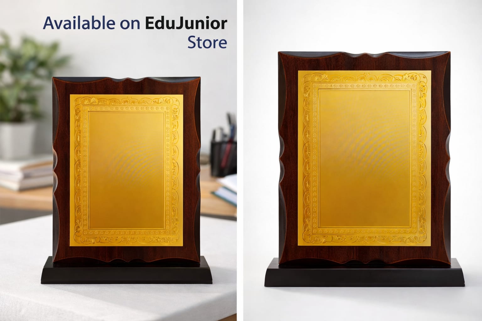 EduJunior Winner Trophy