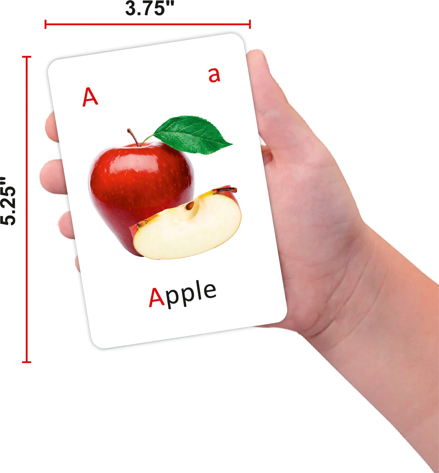 Gurukanth Educational Flash Cards for kids Combo Set of 6 (Multicolor) - Image 2